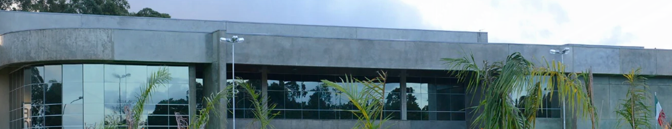 DIVISÃO DE PRODUTOS COMPLEMENTARES